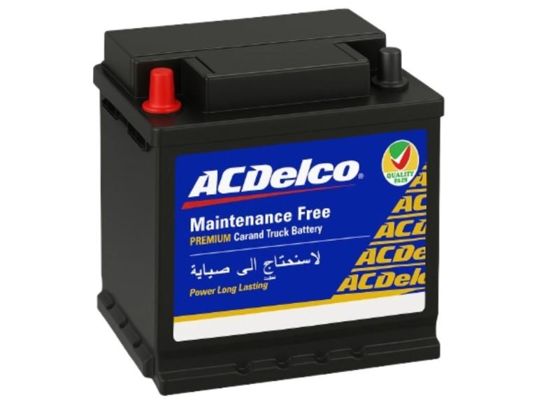 ACDelco Battery (1)