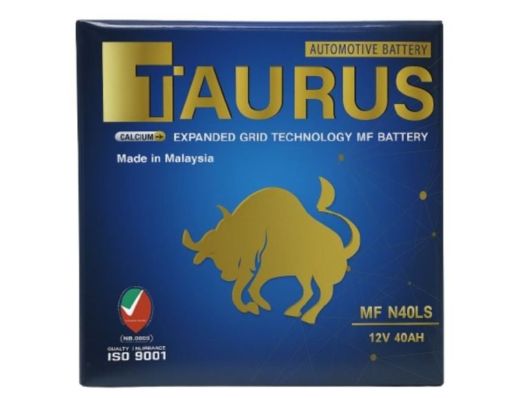 TAURUS Battery